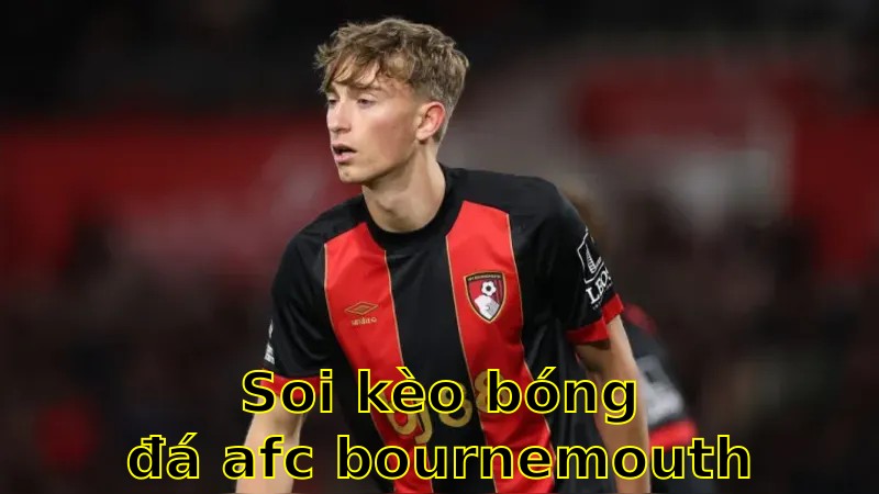 Soi kèo bóng đá AFC Bournemouth vs Ipswich Town - 01:45 ngày 03/04 - Ngoại hạng Anh