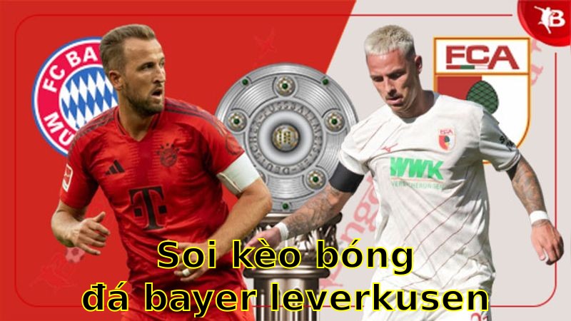 Soi kèo bóng đá Bayer Leverkusen vs Augsburg - 20:30 ngày 26/04 - Bundesliga