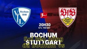Soi kèo bóng đá Bochum vs Stuttgart - 20:30 ngày 05/04 - Bundesliga
