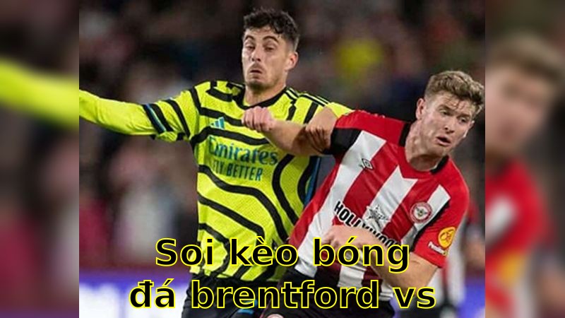 Soi kèo bóng đá Brentford vs Brighton & Hove Albion - 21:00 ngày 19/04 - Ngoại hạng Anh