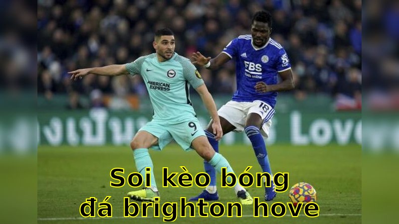 Soi kèo bóng đá Brighton & Hove Albion vs Leicester City - 21:00 ngày 12/04 - Ngoại hạng Anh