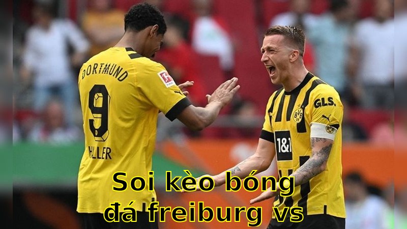 Soi kèo bóng đá Freiburg vs Borussia Dortmund - 20:30 ngày 05/04 - Bundesliga