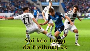 Soi kèo bóng đá Freiburg vs Hoffenheim - 20:30 ngày 19/04 - Bundesliga