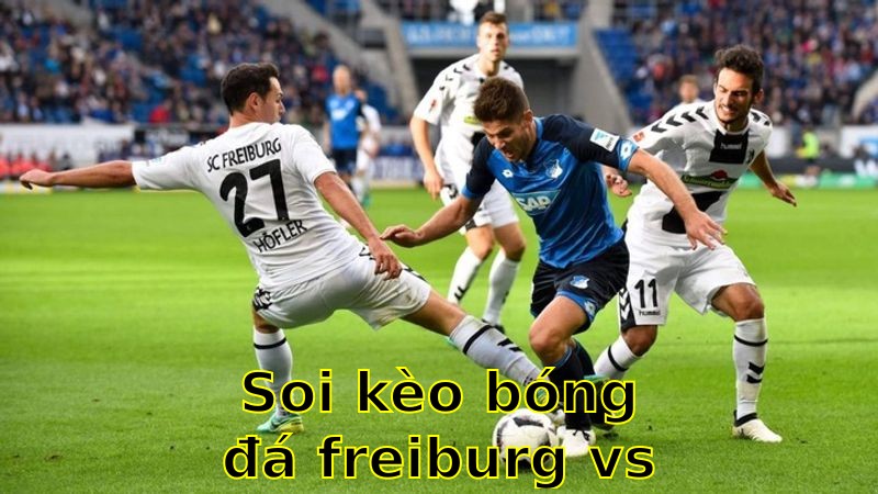Soi kèo bóng đá Freiburg vs Hoffenheim - 20:30 ngày 19/04 - Bundesliga