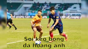 Soi kèo bóng đá Hoàng Anh Gia Lai vs Hải Phòng - 17:00 ngày 27/04 - V.League 1
