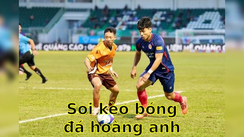 Soi kèo bóng đá Hoàng Anh Gia Lai vs Hải Phòng - 17:00 ngày 27/04 - V.League 1