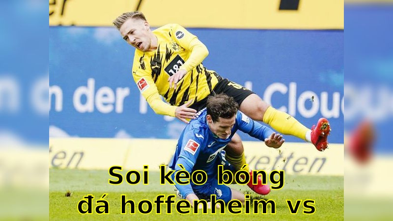 Soi kèo bóng đá Hoffenheim vs Borussia Dortmund - 20:30 ngày 26/04 - Bundesliga