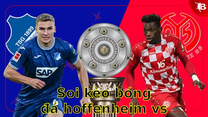 Soi kèo bóng đá Hoffenheim vs Mainz 05 - 20:30 ngày 12/04 - Bundesliga