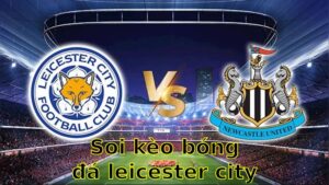 Soi kèo bóng đá Leicester City vs Newcastle United - 02:00 ngày 08/04 - Ngoại hạng Anh