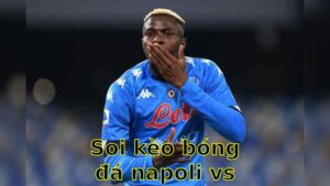 Soi kèo bóng đá Napoli vs Torino - 20:00 ngày 27/04 - Serie A