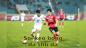 Soi kèo bóng đá SHB Đà Nẵng vs Thép Xanh Nam Định - 18:00 ngày 20/04 - V.League 1