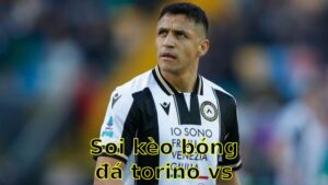 Soi kèo bóng đá Torino vs Udinese - 17:30 ngày 21/04 - Serie A