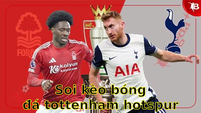 Soi kèo bóng đá Tottenham Hotspur vs Nottingham Forest - 02:00 ngày 22/04 - Ngoại hạng Anh