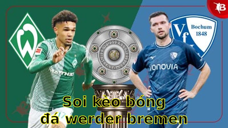 Soi kèo bóng đá Werder Bremen vs Bochum - 20:30 ngày 19/04 - Bundesliga