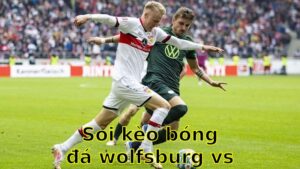 Soi kèo bóng đá Wolfsburg vs Freiburg - 20:30 ngày 26/04 - Bundesliga