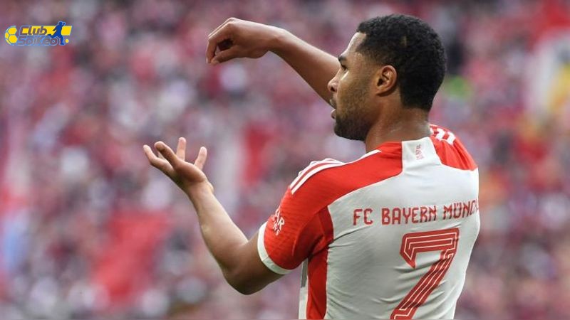 Phân Tích Phong Độ Trong Soi Kèo Bóng Đá Hoffenheim vs Bayern Munich