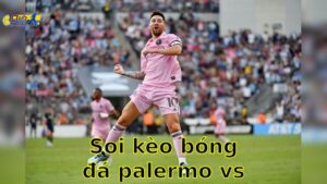 Soi kèo bóng đá Palermo vs Carrarese - 01:30, ngày 14/05 - Serie B
