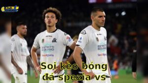Soi kèo bóng đá Spezia vs Cosenza - 01:30, ngày 14/05 - Serie B