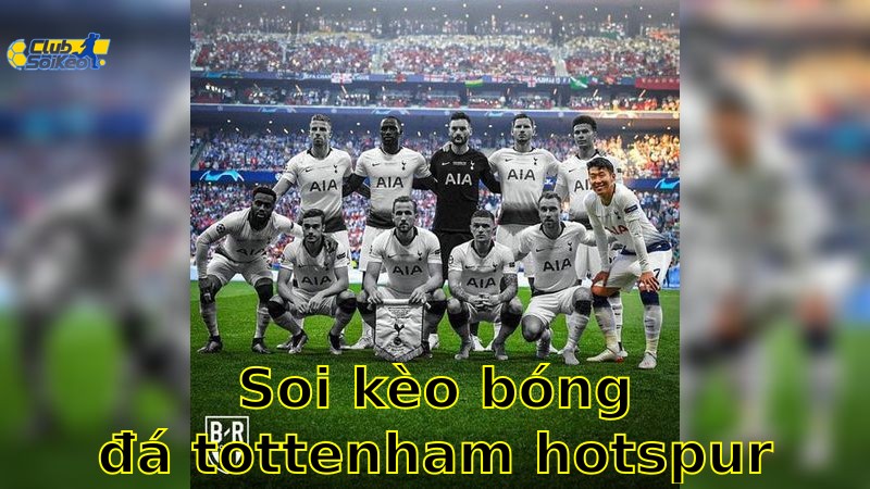 Soi kèo bóng đá Tottenham Hotspur vs Brighton & Hove Albion - 22:00, ngày 25/05 - Ngoại Hạng Anh – Vòng 38