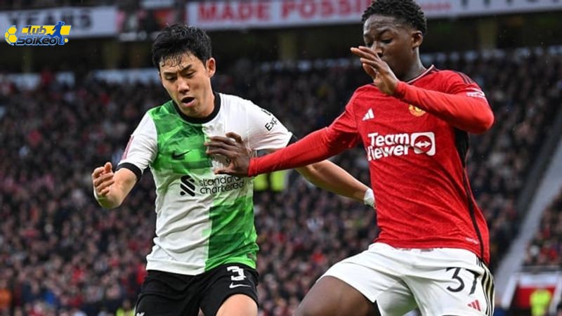 Tin Tức Đội Bóng: Tottenham và Manchester United