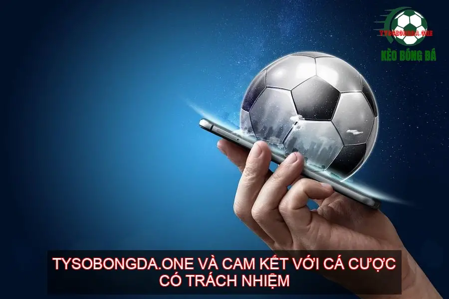 Cá Cược Có Trách Nhiệm Website Tysobongda.one 3 Tysobongda.one và Cam Kết với Cá Cược Có Trách Nhiệm
