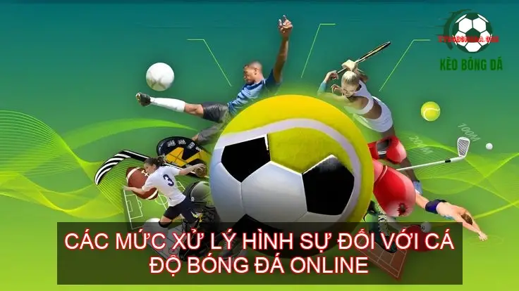 Cá Độ Bóng Đá Online Có Bị Phạt Không? 4 Các Mức Xử Lý Hình Sự Đối Với Cá Độ Bóng Đá Online