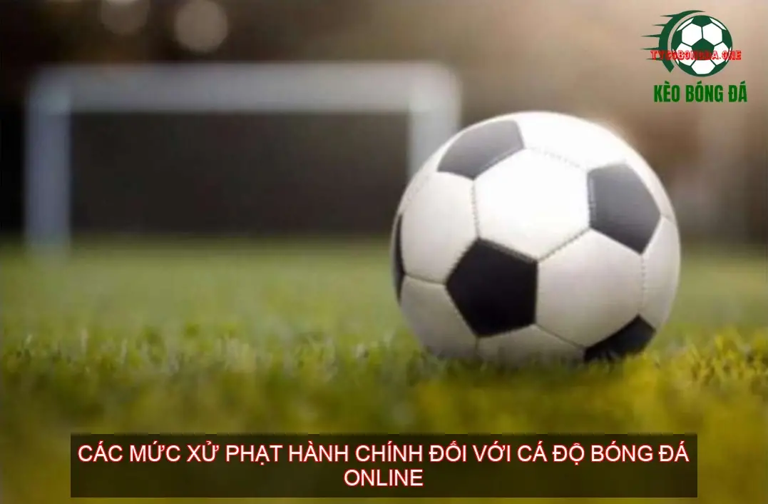 Cá Độ Bóng Đá Online Có Bị Phạt Không? 2 Các Mức Xử Phạt Hành Chính Đối Với Cá Độ Bóng Đá Online