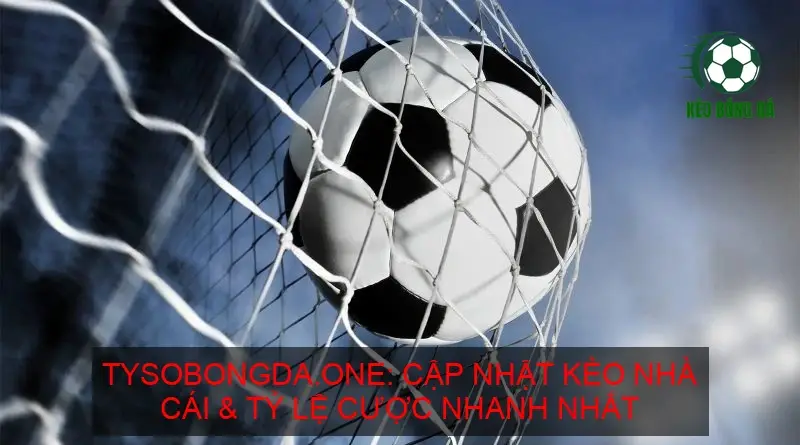 Giới thiệu về trang Kèo Bóng Đá Tysobongda.one