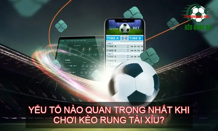 Kèo Rung Bóng Đá - Bí Quyết Chốt Kèo Thắng Lớn? 4 Yếu tố nào quan trọng nhất khi chơi kèo rung tài xỉu?