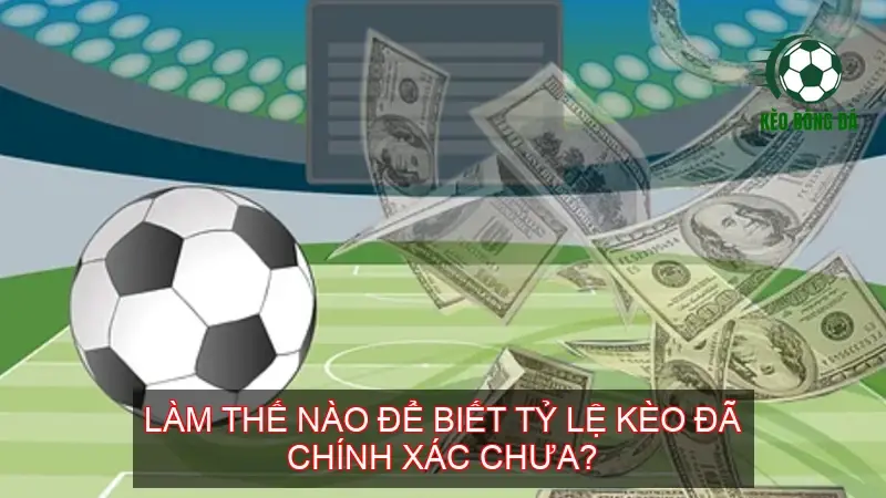 Khám Phá Cách Chơi Kèo Bóng Đá Nhà Cái COBET 4 Làm thế nào để biết tỷ lệ kèo đã chính xác chưa?