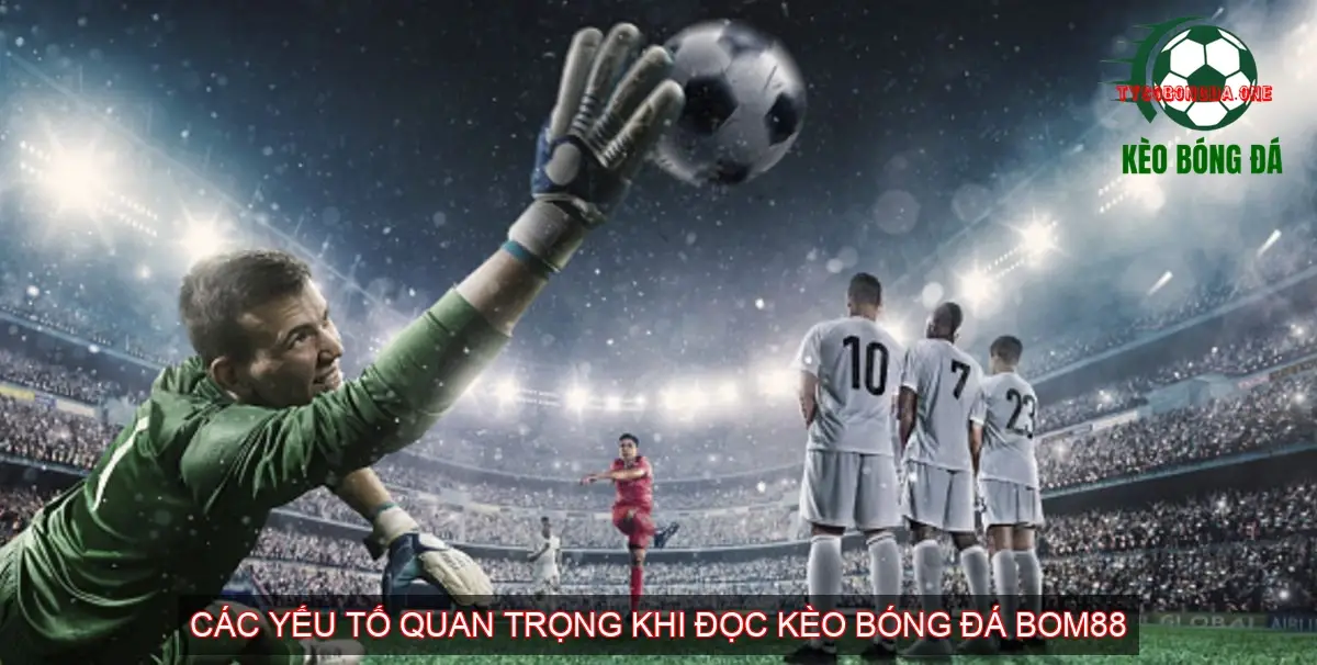 Khám Phá Chiến Thuật Đỉnh Cao Cùng Kèo Bóng Đá Nhà Cái BOM88 3 Các yếu tố quan trọng khi đọc kèo bóng đá BOM88