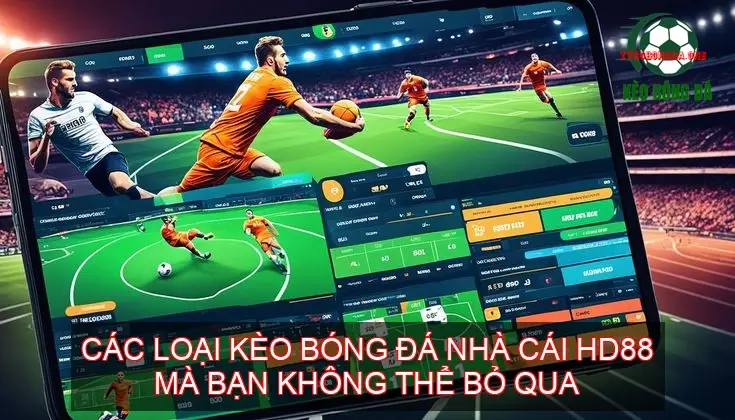 Các loại kèo bóng đá nhà cái HD88 mà bạn không thể bỏ qua