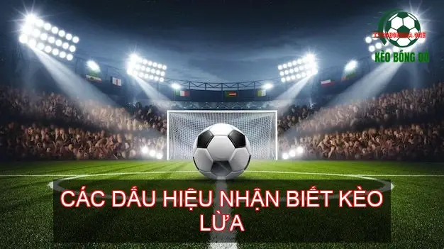 Kinh Nghiệm Tránh Kèo Lừa Bóng Đá Cho Người Chơi Thông Minh 3 Các Dấu Hiệu Nhận Biết Kèo Lừa