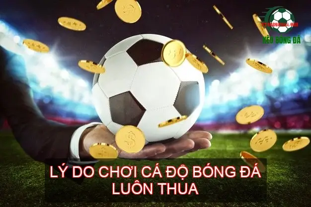 ly do choi ca do bong da luon thua 68d7b5dc3a801