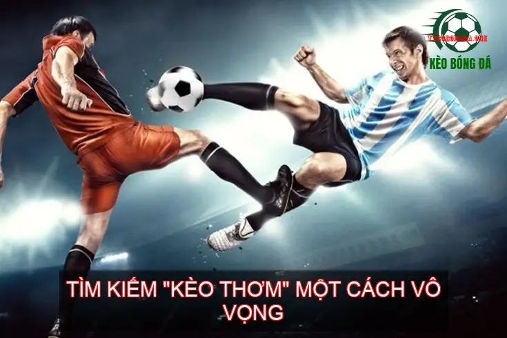 Lý Do Chơi Cá Độ Bóng Đá Luôn Thua 5 Tìm Kiếm "Kèo Thơm" Một Cách Vô Vọng