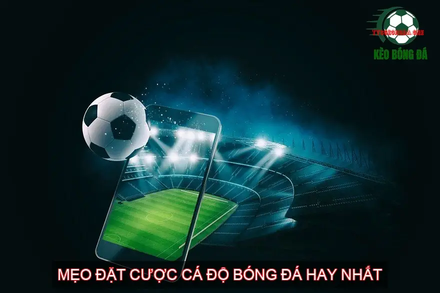 meo dat cuoc ca do bong da 68d7b5e34c2e6
