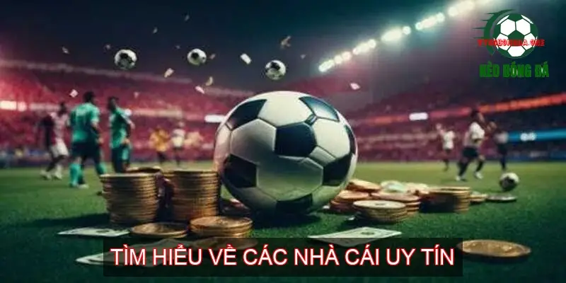 Mẹo Đặt Cược Cá Độ Bóng Đá Hay Nhất 3 Tìm Hiểu Về Các Nhà Cái Uy Tín