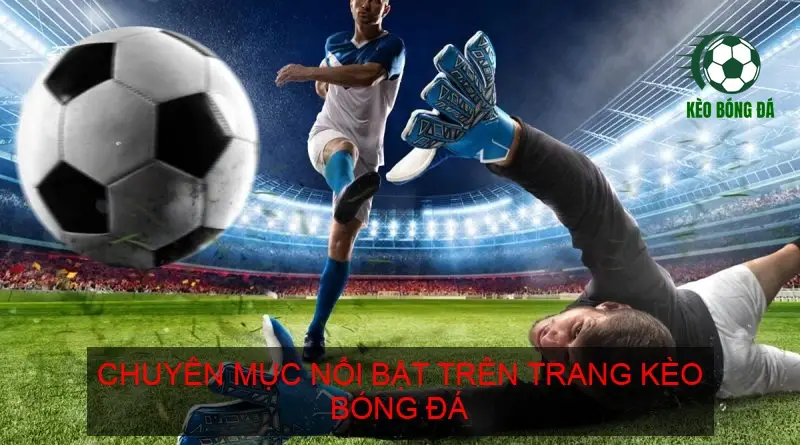 Chuyên mục nổi bật trên trang Kèo Bóng Đá