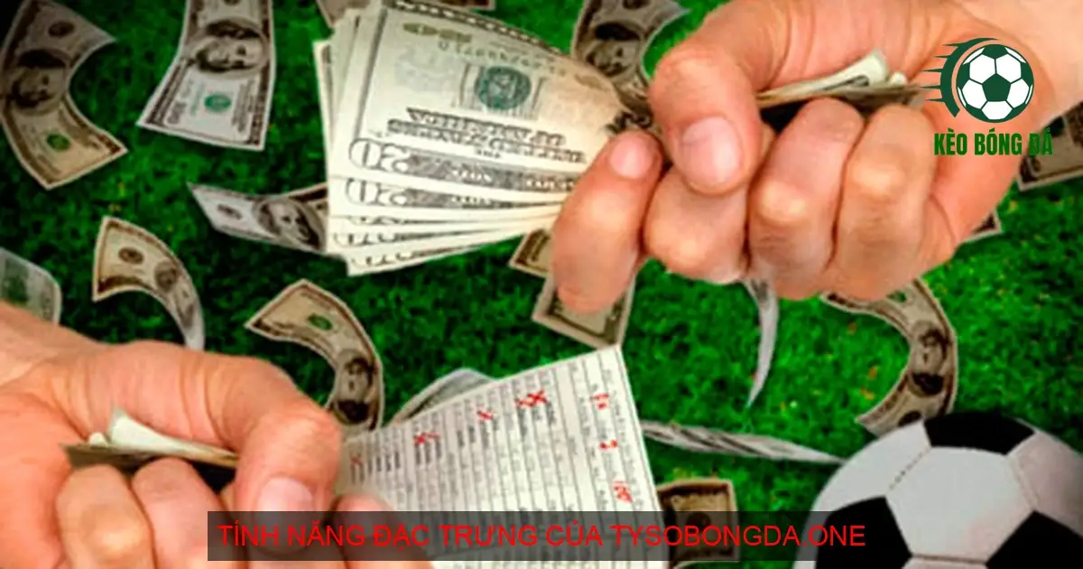 Tính năng đặc trưng của Tysobongda.one