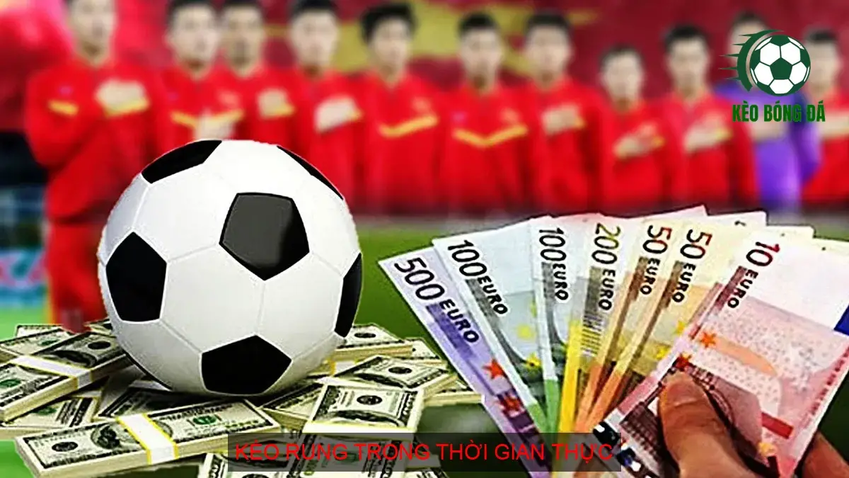 Kèo rung trong thời gian thực