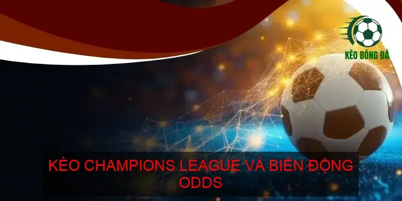Kèo Champions League và biến động odds