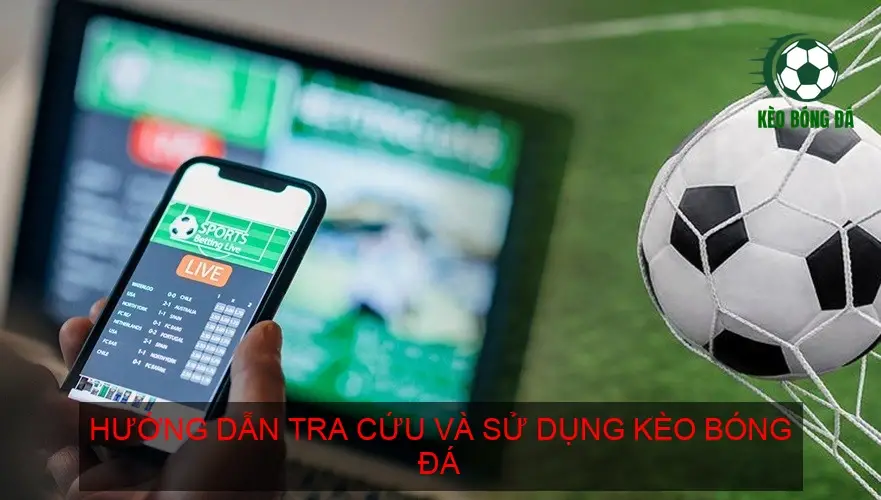 Hướng dẫn tra cứu và sử dụng kèo bóng đá